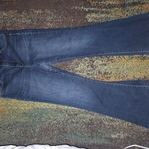 American Eagle Outfitters Women's Dark Blue Skinny Jeans